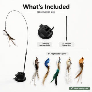 Cat teaser wand set including suction base flexible rod and five replaceable feather birds