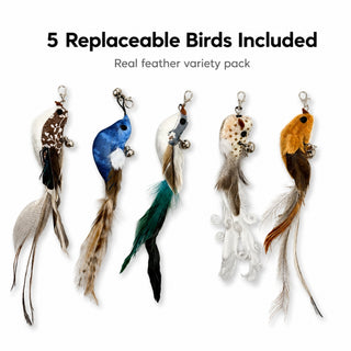Five replaceable feather birds for interactive cat teaser wand toy