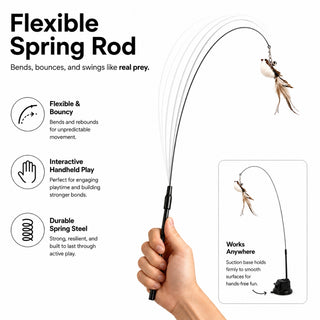 Flexible spring rod cat teaser wand that bends bounces and swings