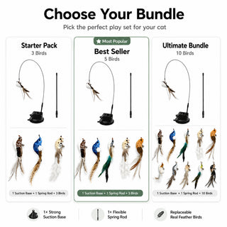 Cat teaser wand bundle options with three five or ten replaceable feather birds